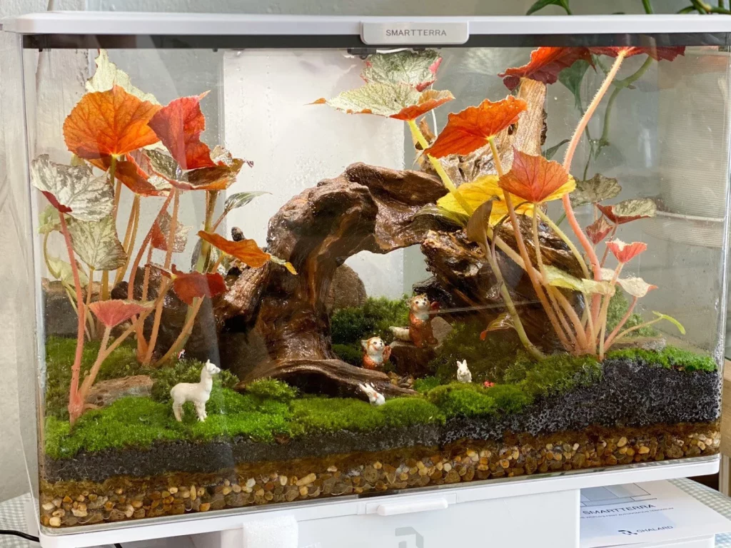 Decorated terrarium scape, photo 1 of 87