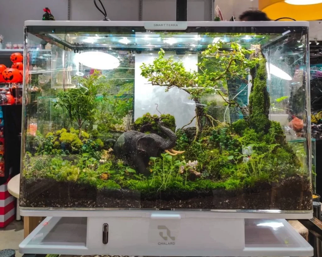 Decorated terrarium scape, photo 22 of 87