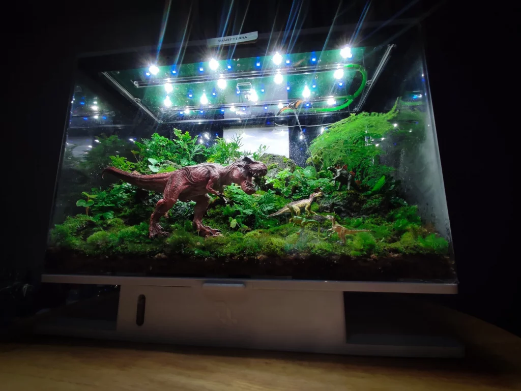 Decorated terrarium scape, photo 41 of 87