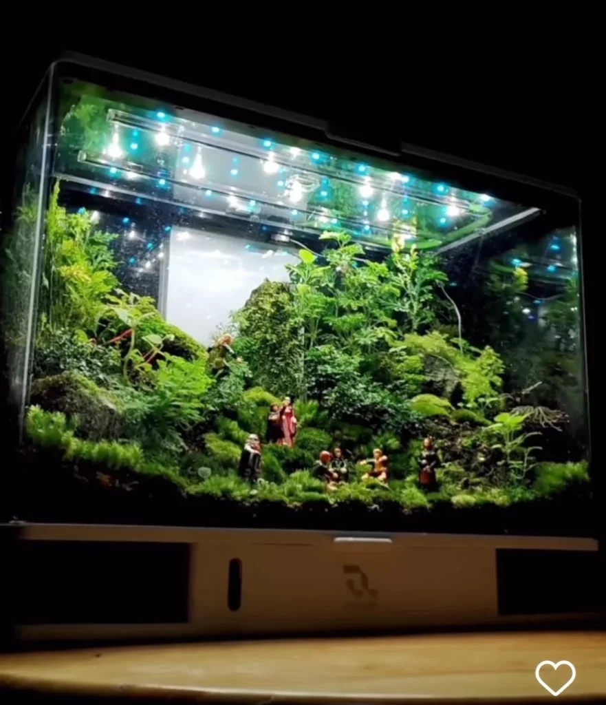 Decorated terrarium scape, photo 42 of 87