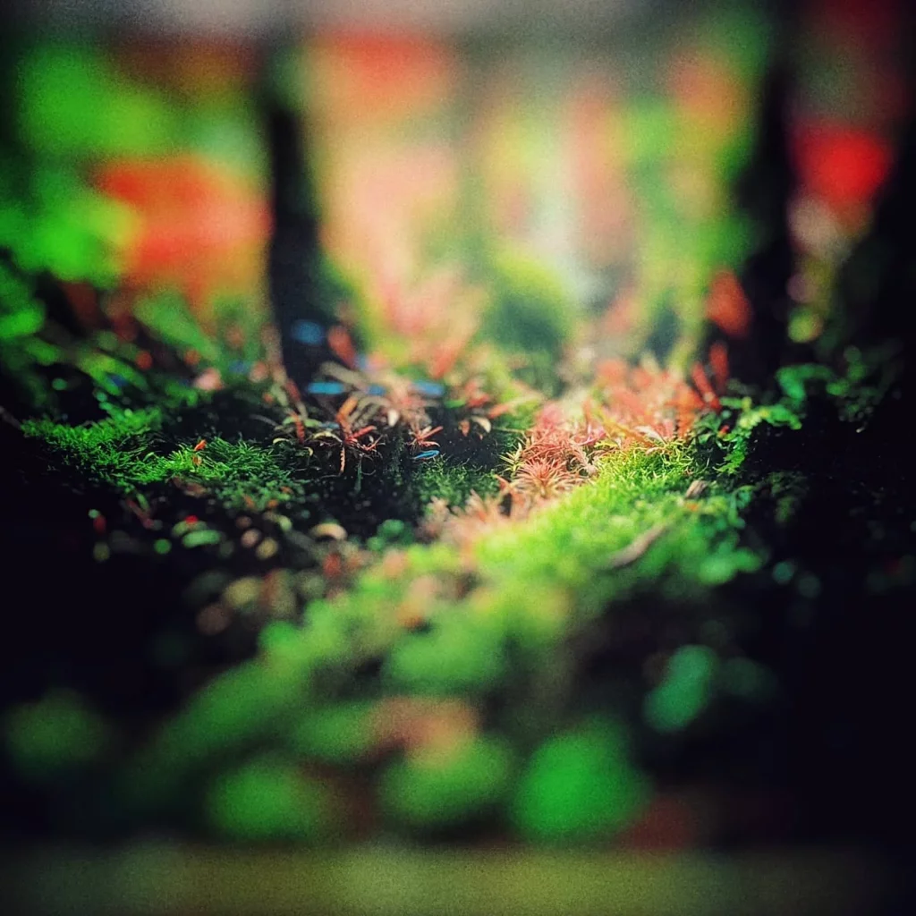 Decorated terrarium scape, photo 31 of 87