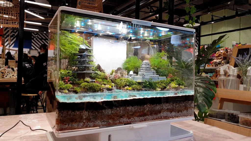 Decorated terrarium scape, photo 3 of 87