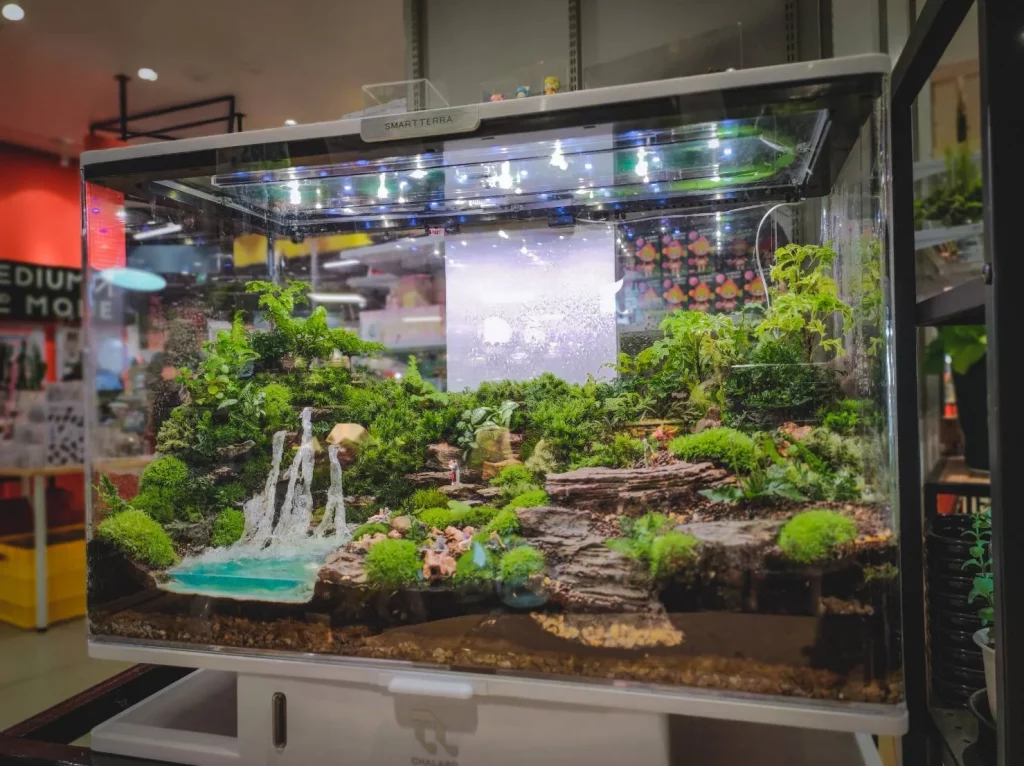 Decorated terrarium scape, photo 17 of 87