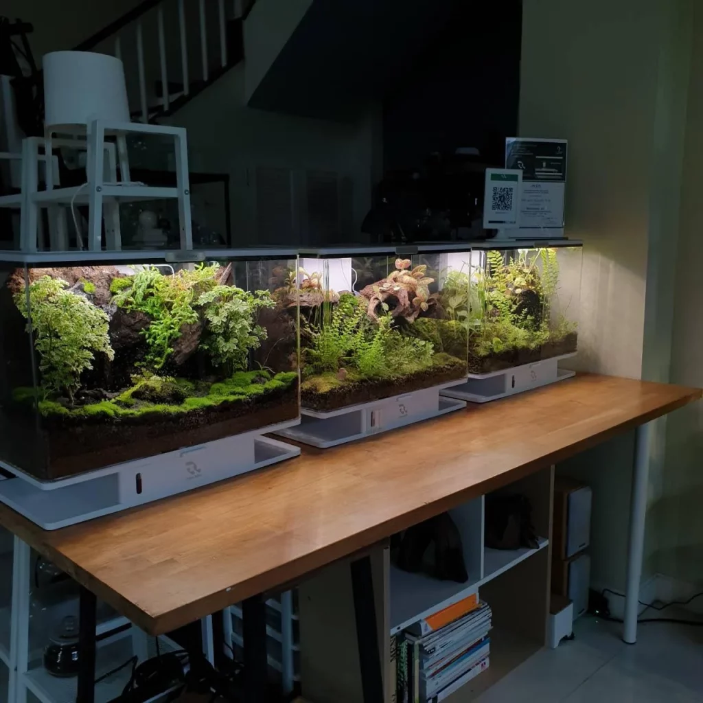 Decorated terrarium scape, photo 34 of 87