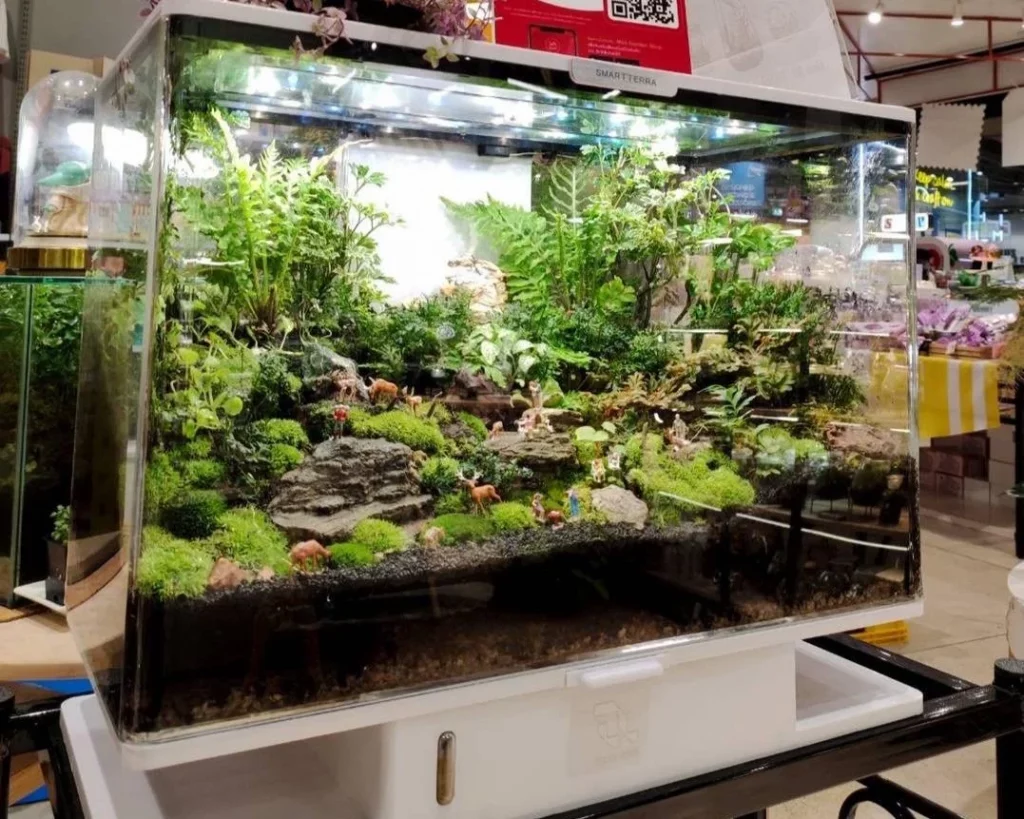 Decorated terrarium scape, photo 36 of 87