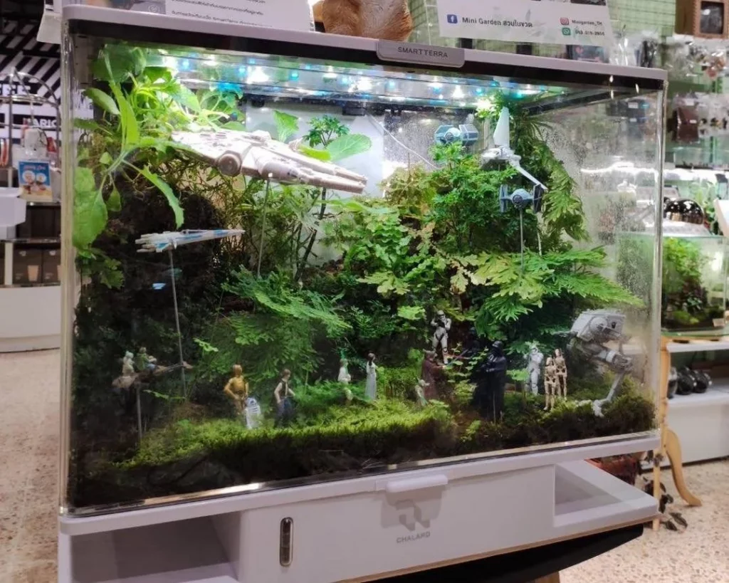 Decorated terrarium scape, photo 37 of 87