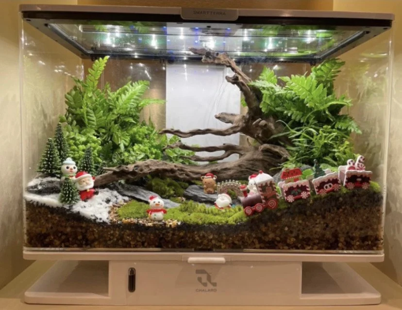 Decorated terrarium scape, photo 12 of 87