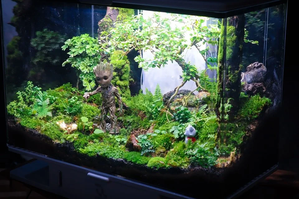 Decorated terrarium scape, photo 40 of 87