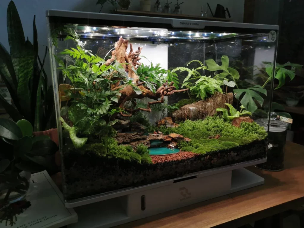 Decorated terrarium scape, photo 2 of 87