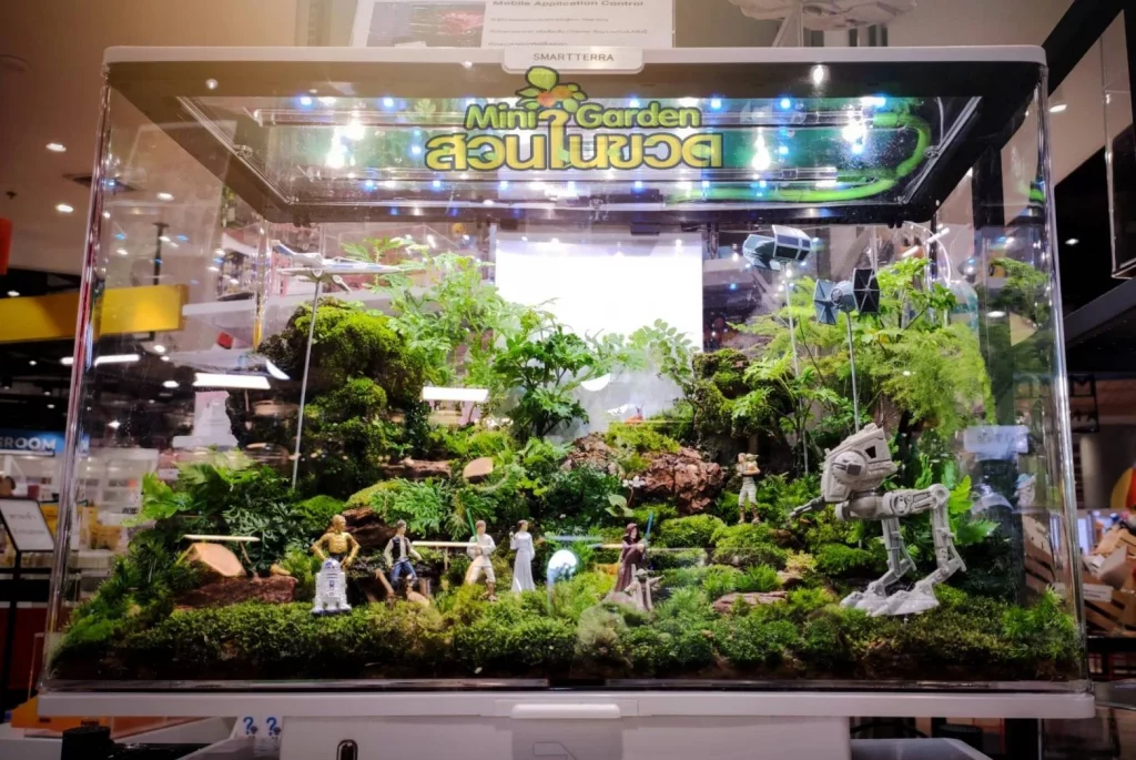 Decorated terrarium scape, photo 19 of 87