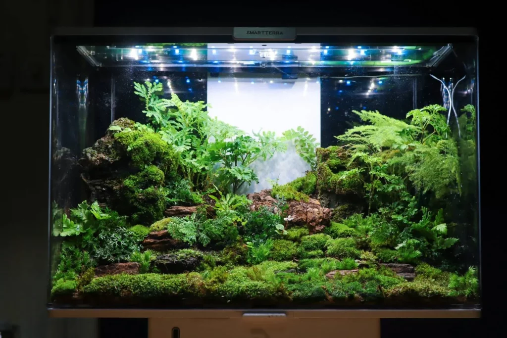 Decorated terrarium scape, photo 20 of 87