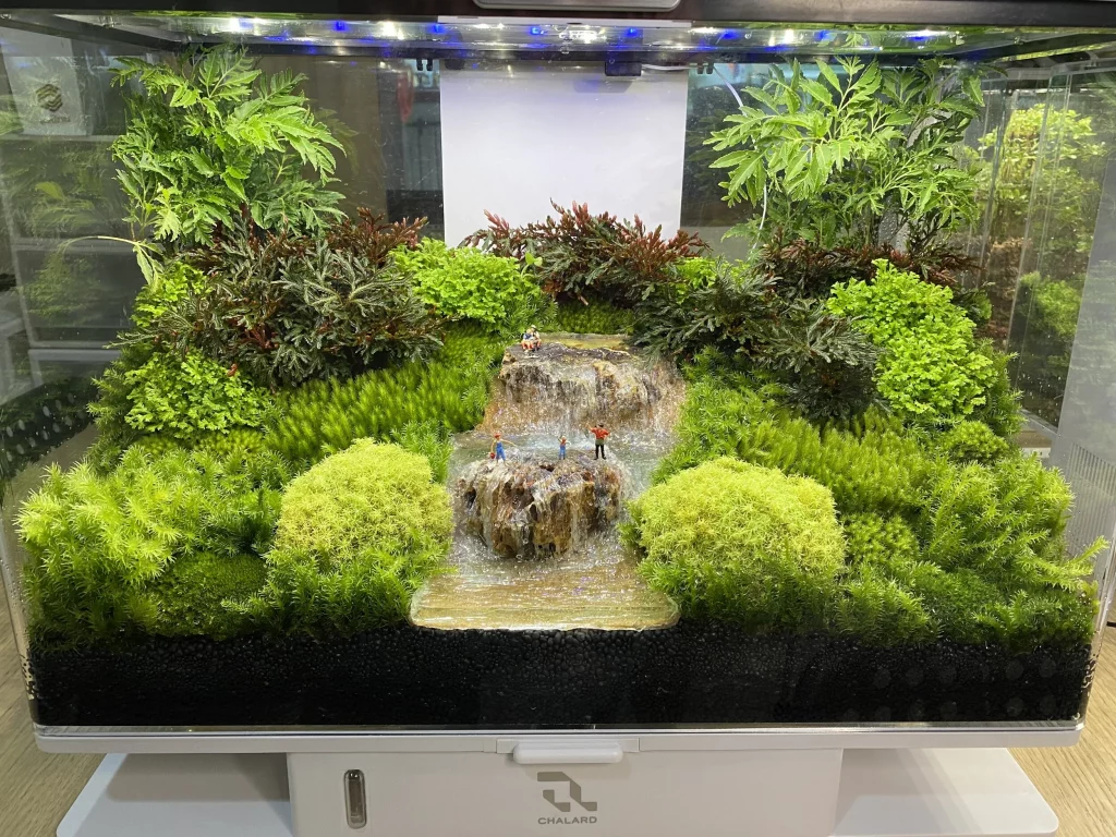 Decorated terrarium scape, photo 15 of 87