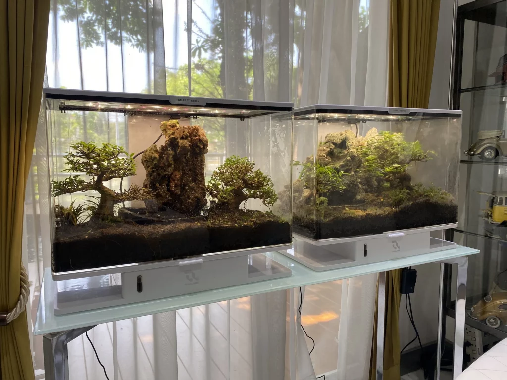 Decorated terrarium scape, photo 13 of 87