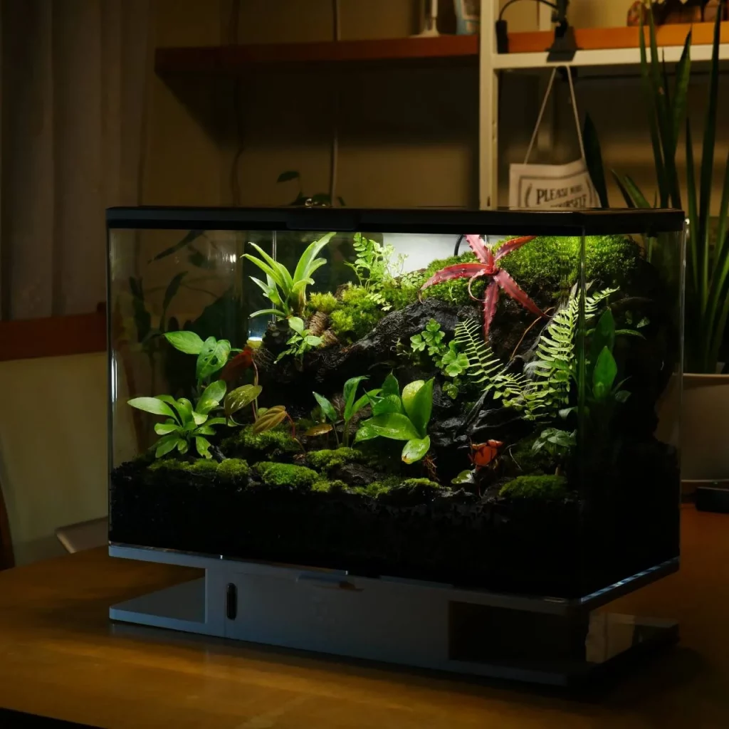 Decorated terrarium scape, photo 27 of 87