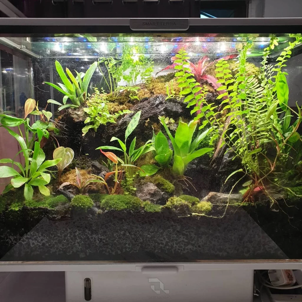 Decorated terrarium scape, photo 28 of 87