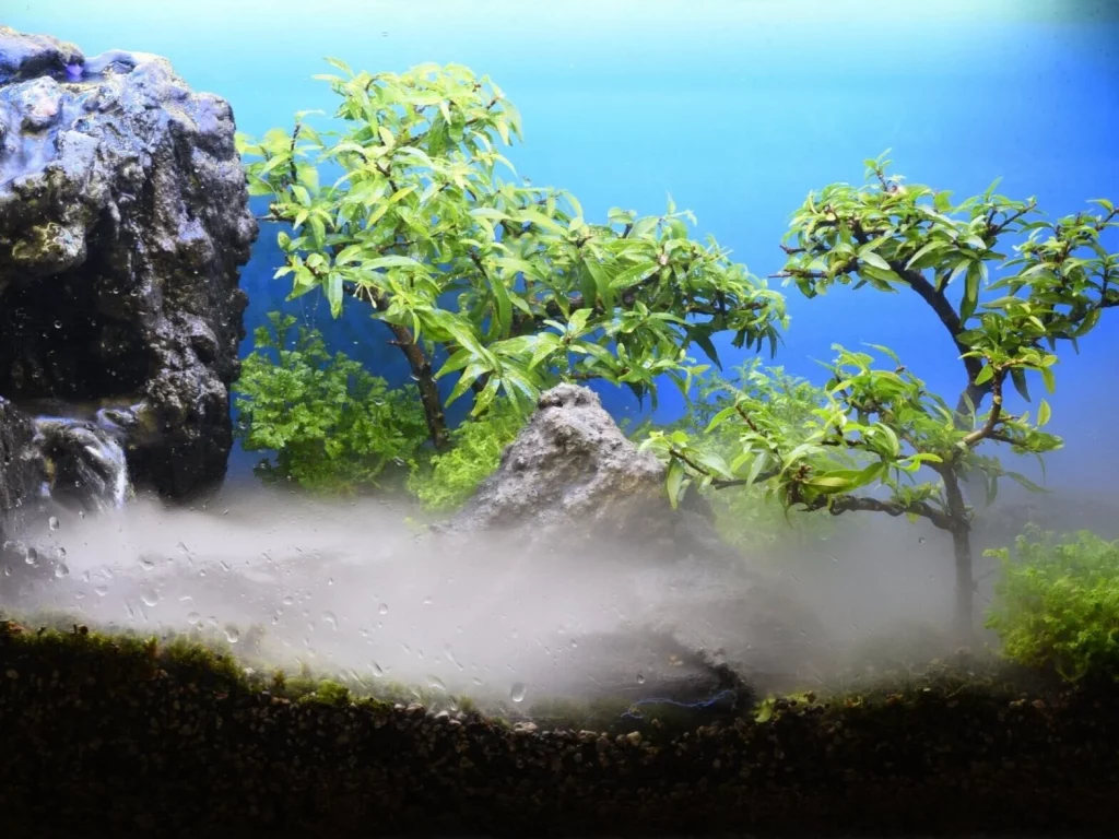 Decorated terrarium scape, photo 4 of 87