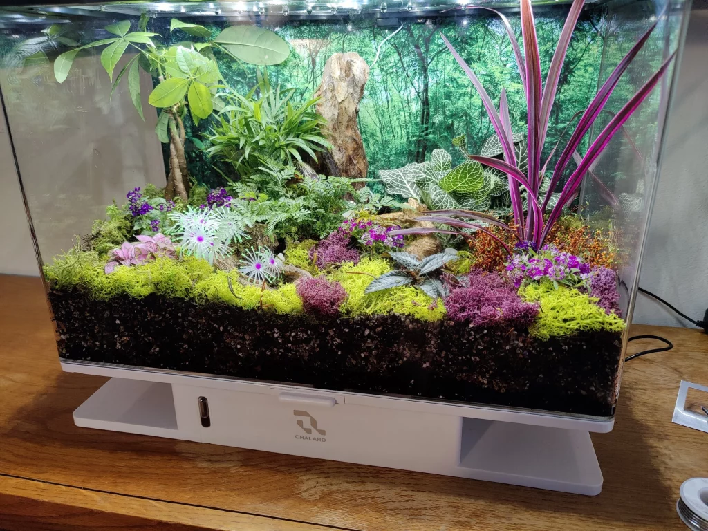 Decorated terrarium scape, photo 7 of 87