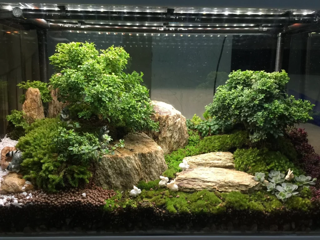 Decorated terrarium scape, photo 52 of 87