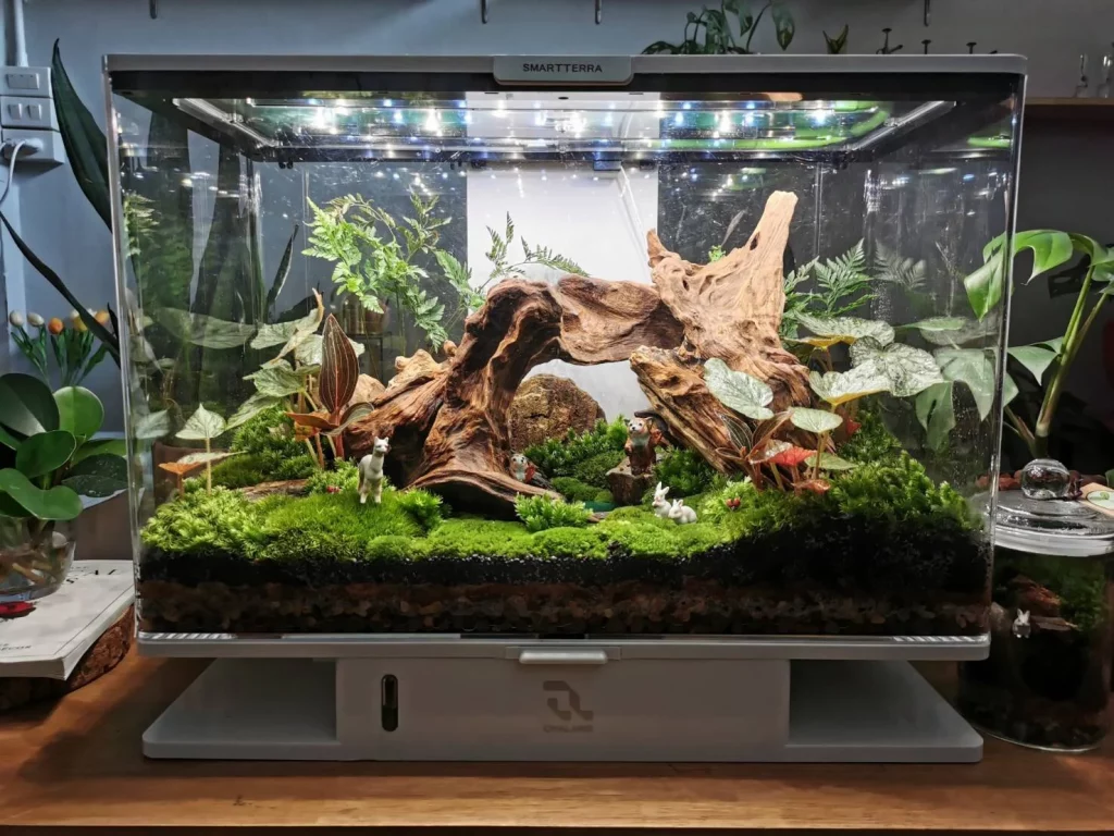 Decorated terrarium scape, photo 57 of 87