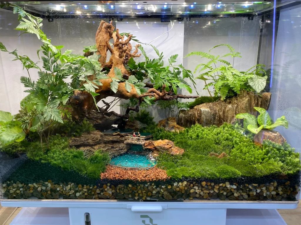 Decorated terrarium scape, photo 59 of 87