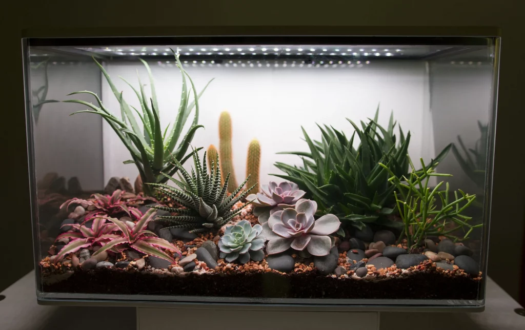 Decorated terrarium scape, photo 60 of 87