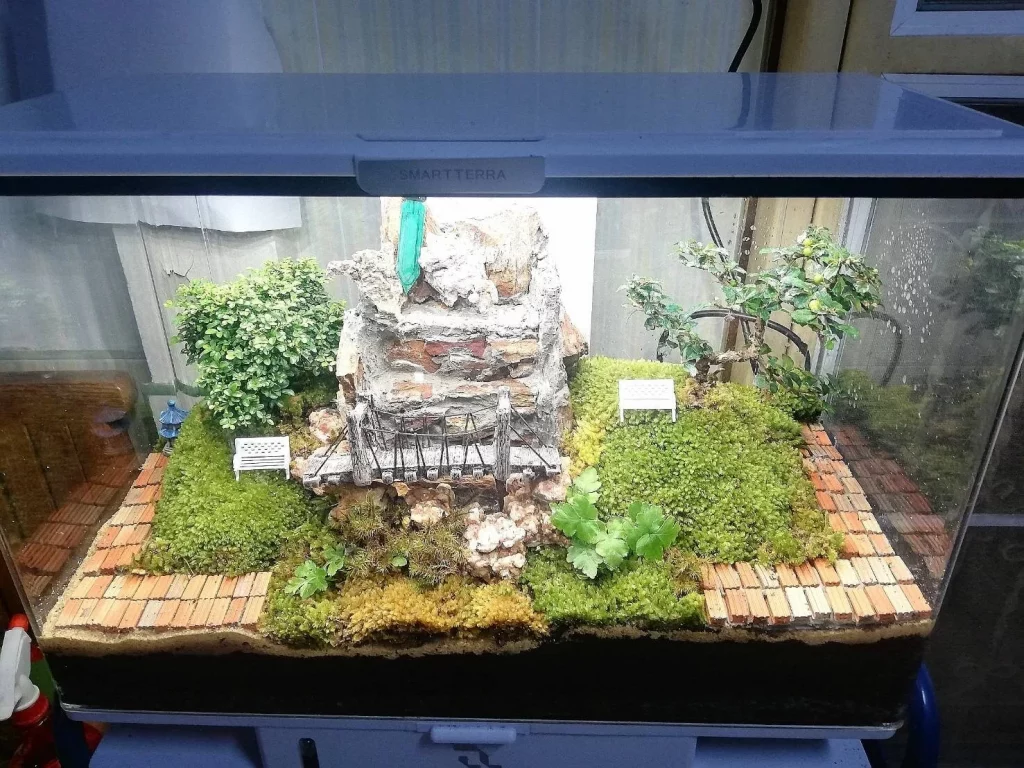 Decorated terrarium scape, photo 68 of 87