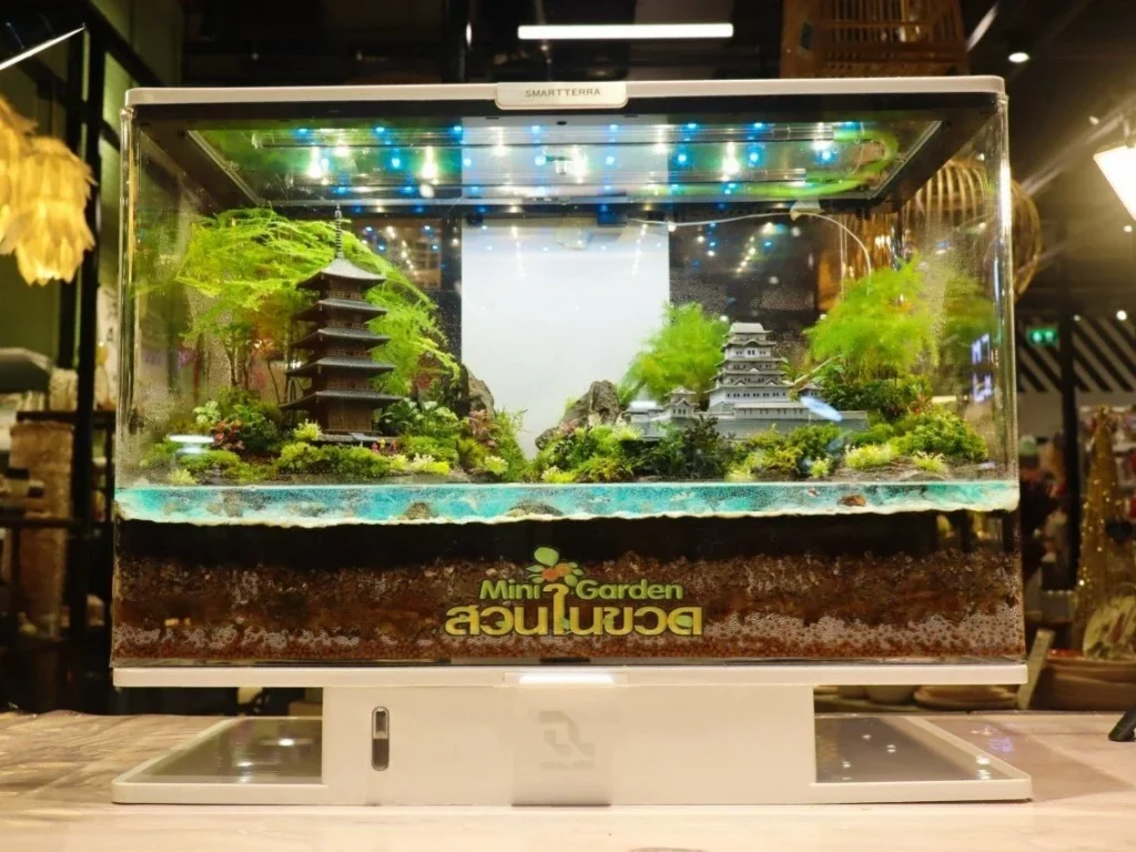 Decorated terrarium scape, photo 69 of 87