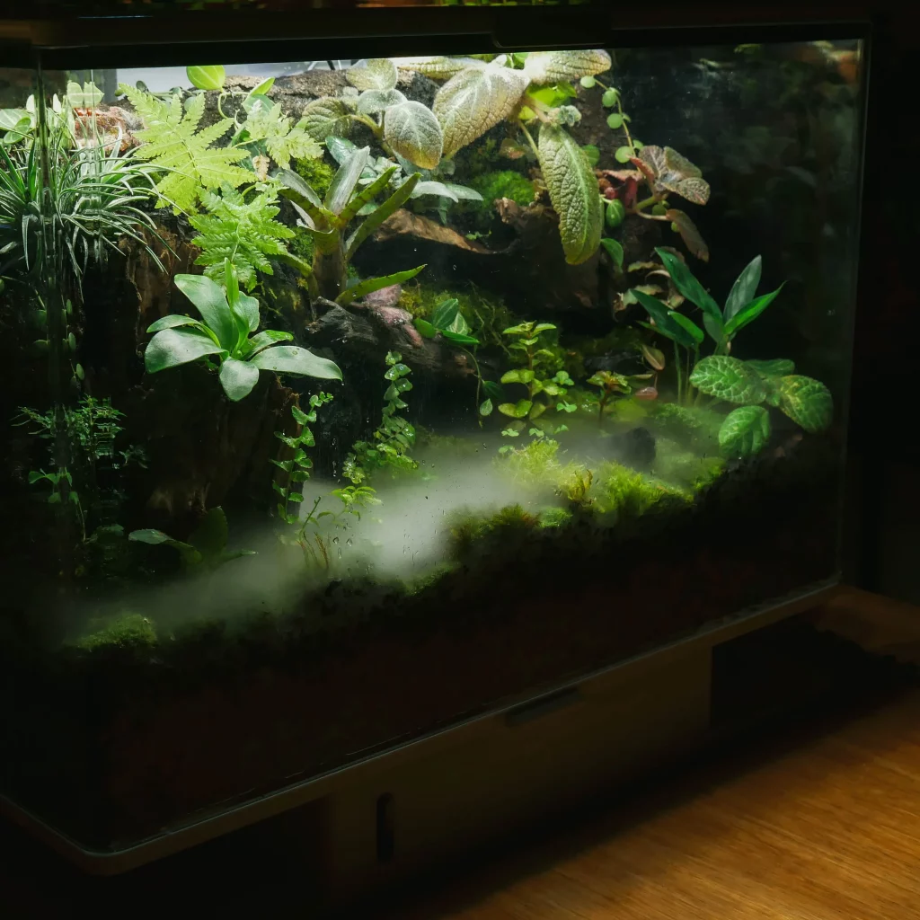 Decorated terrarium scape, photo 71 of 87