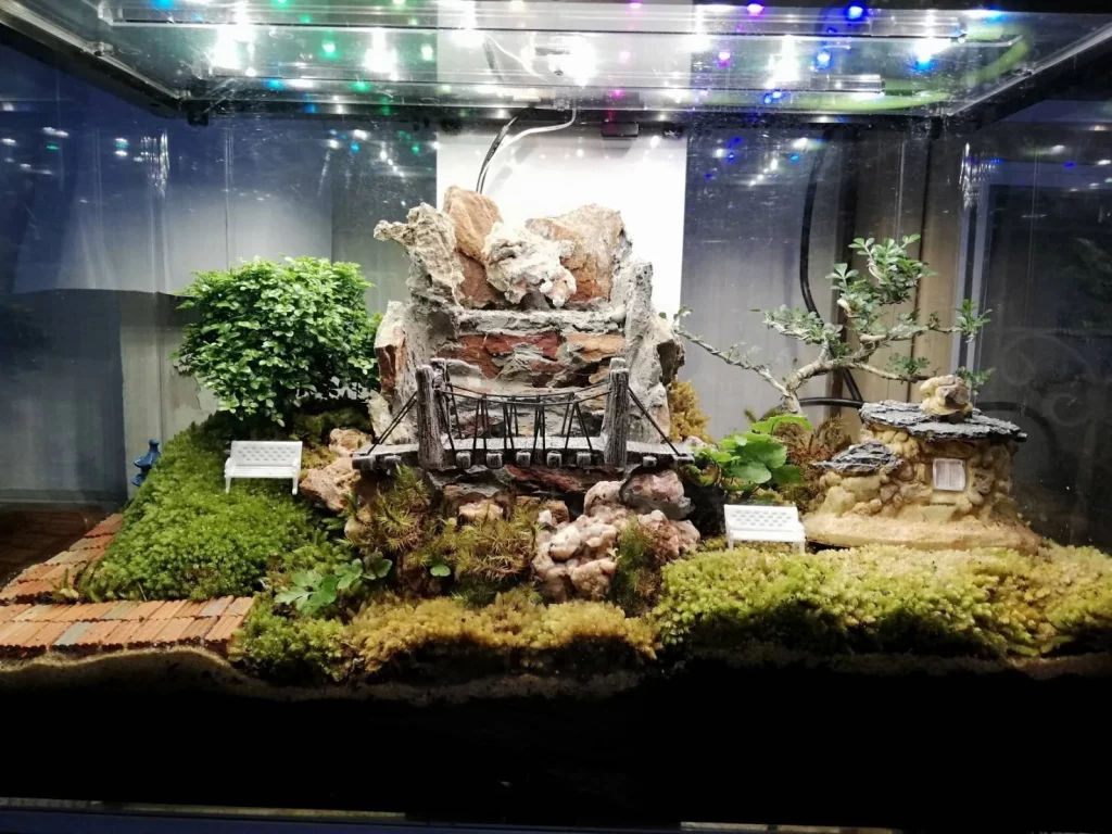 Decorated terrarium scape, photo 81 of 87