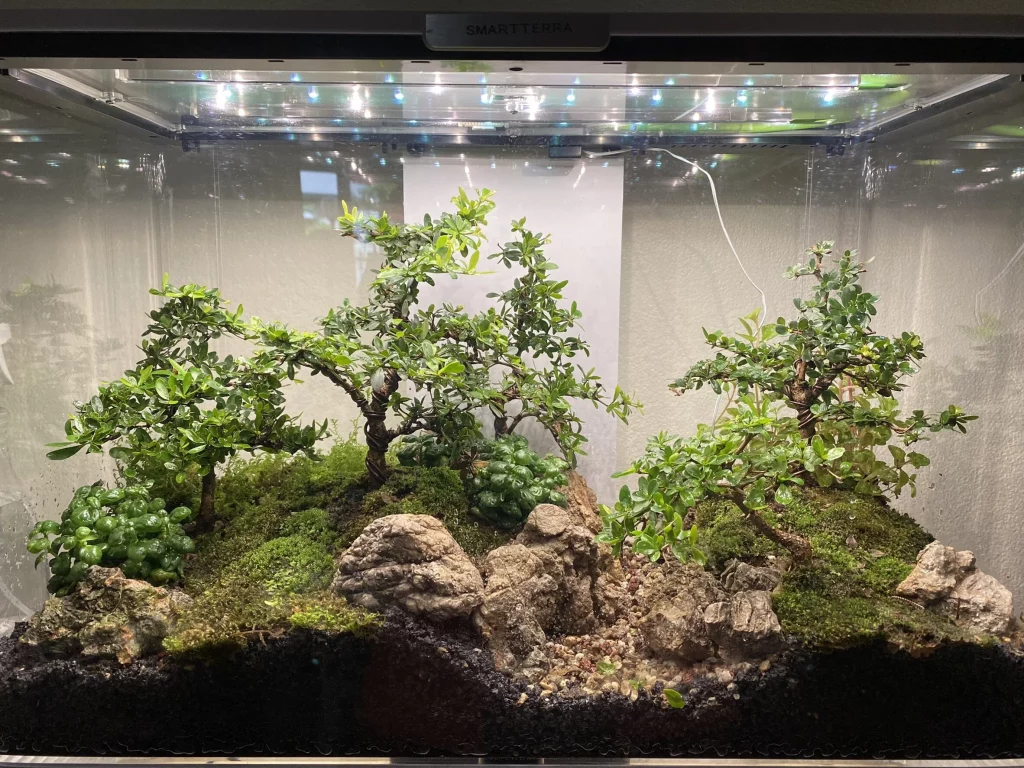 Decorated terrarium scape, photo 84 of 87