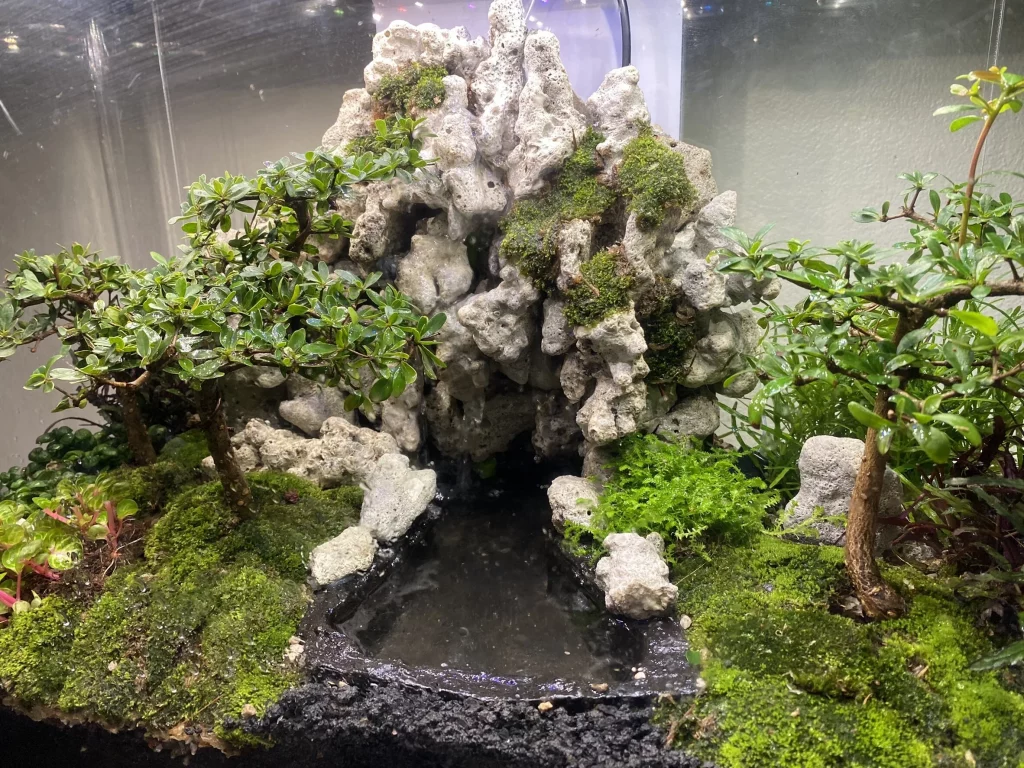 Decorated terrarium scape, photo 85 of 87